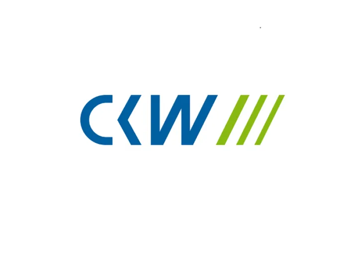 Projekt-Vorschau: CKW Price-Catcher
