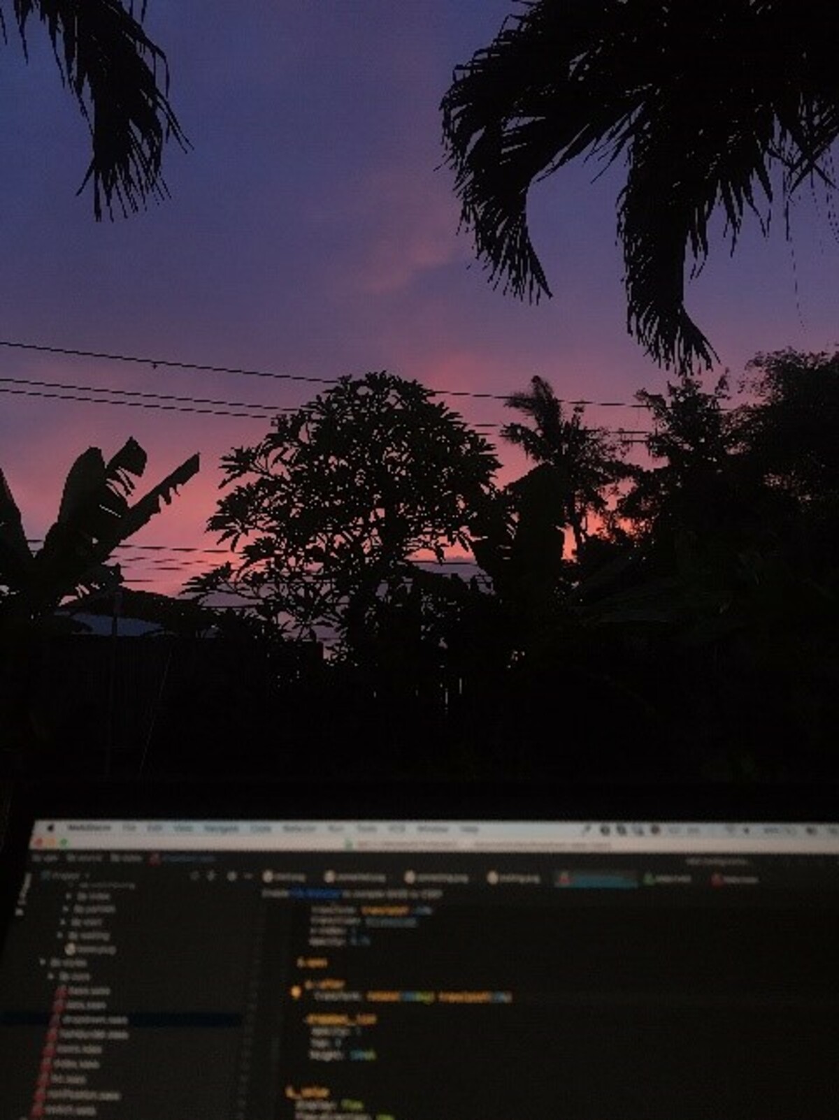 Coding in Bali 5.jpg